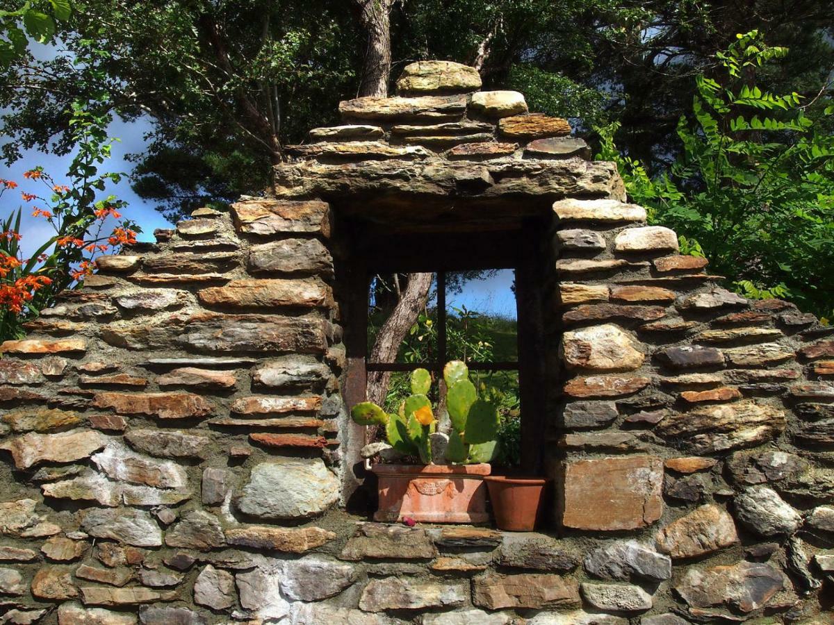 Ballycommane House & Garden Durrus Buitenkant foto