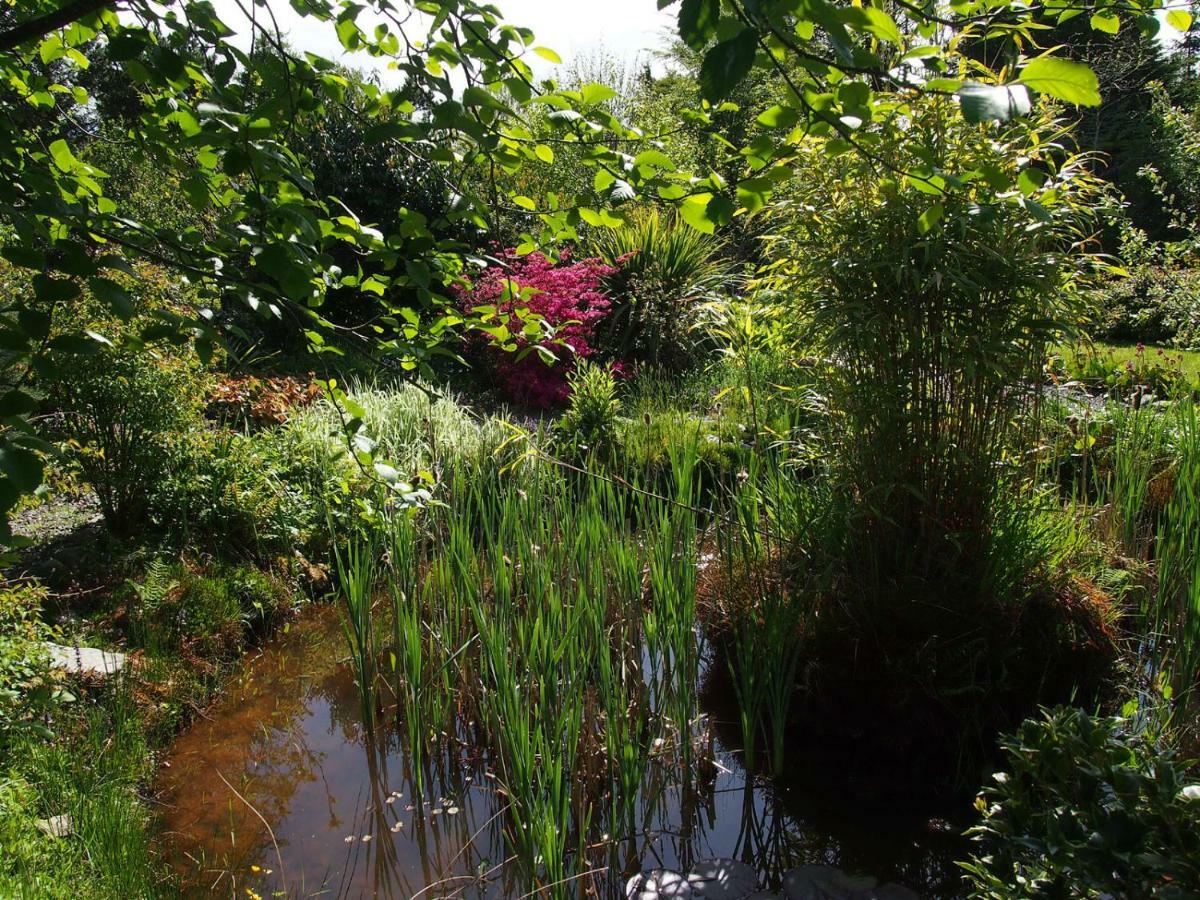 Ballycommane House & Garden Durrus Buitenkant foto